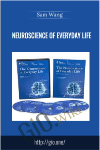 Neuroscience of Everyday Life – Sam Wang