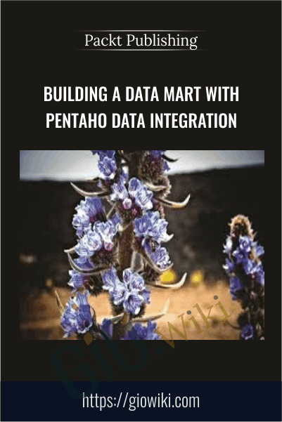 Building a Data Mart with Pentaho Data Integration - Packt Publishing