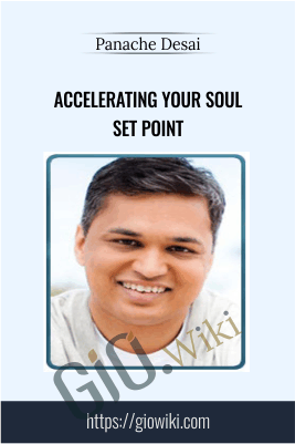 Accelerating your Soul Set Point - Panache Desai