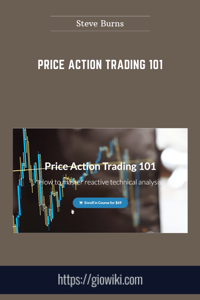 Price Action Trading 101 - Steve Burns