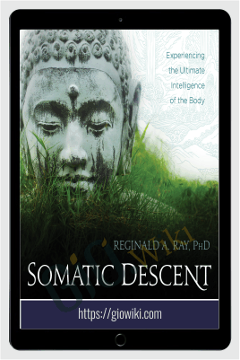 Somatic Descent Experiencing the Ultimate Intelligence of the Body - Reginald A. Ray