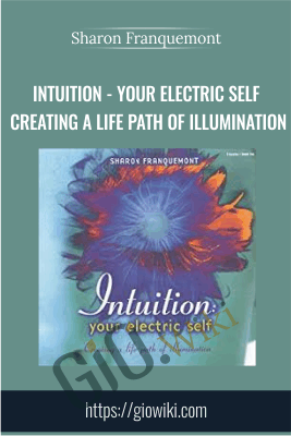 Intuition - Your Electric Self Creating A Life Path of Illumination - Sharon Franquemont
