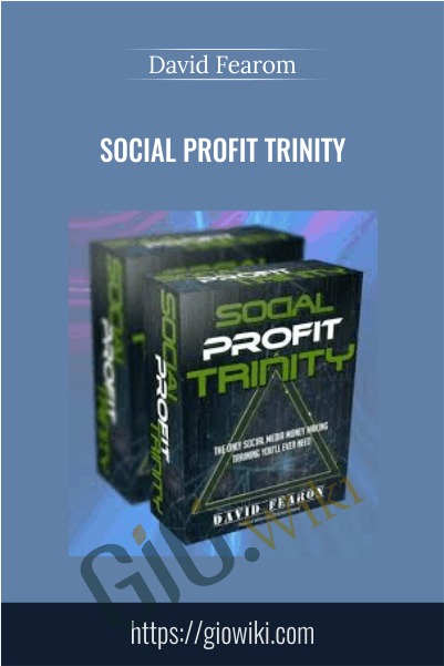 Social Profit Trinity - David Fearom