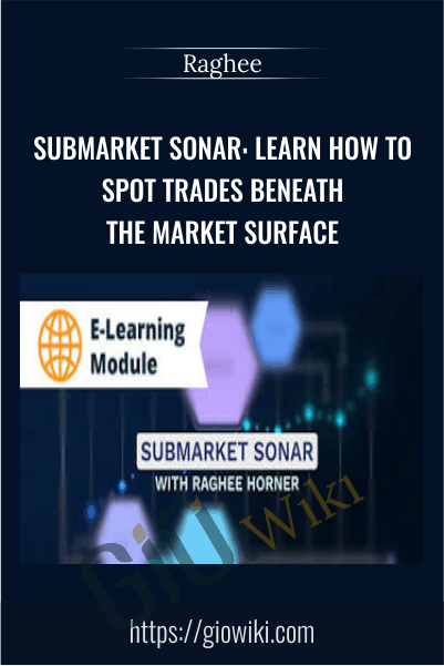 SubMarket Sonar: Learn How to Spot Trades Beneath the Market Surface - Raghee