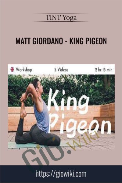 Matt Giordano - King Pigeon - TINT Yoga