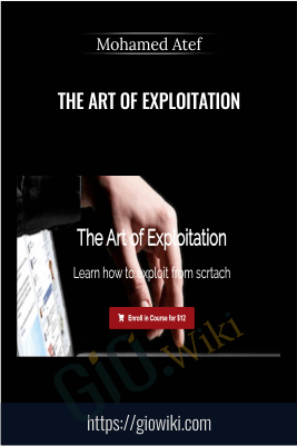 The Art of Exploitation - Mohamed Atef