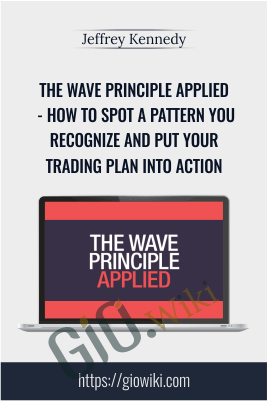 The Wave Principle Applied - How to Spot a Pattern You Recognize and Put Your Trading Plan into Action