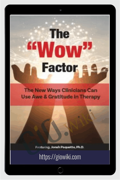 The “Wow” Factor: The New Ways Clinicians Can Use Awe and Gratitude in Therapy - Jonah Paquette