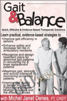 Gait & Balance: Quick, Effective & Evidence-Based Therapeutic Solutions - Michel Janet (Shelly) Denes