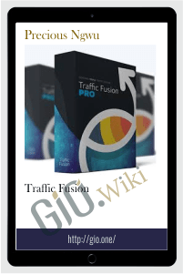 Traffic Fusion – Precious Ngwu