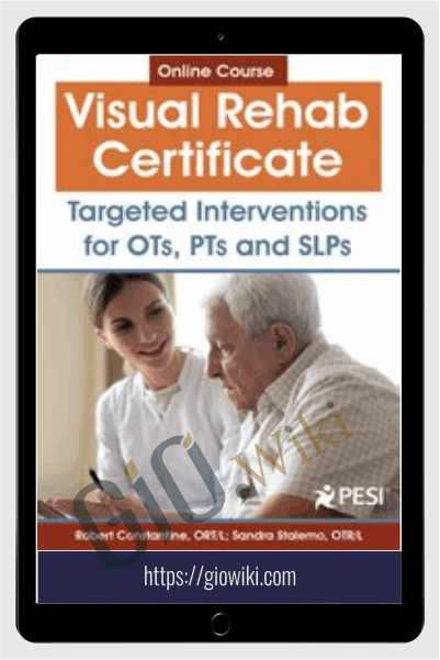 Visual Rehab Certificate: Targeted interventions for OTs, PTs, and SLPs - Robert Constantine & Sandra Stalemo