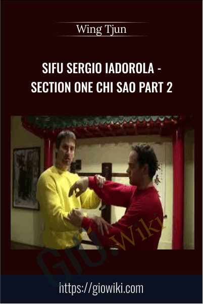 Sifu Sergio Iadorola - Section One Chi Sao Part 2 - Wing Tjun