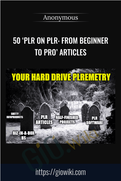 50 ‘PLR On PLR: From Beginner To Pro’ Articles