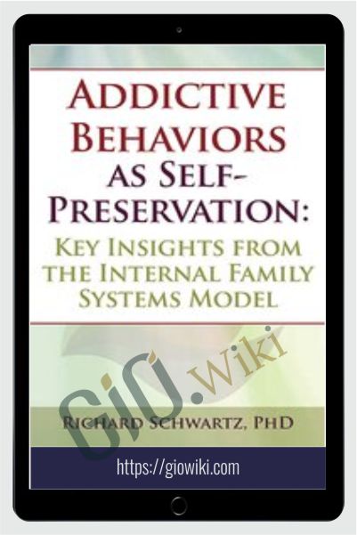 Addictive Behaviors as Self-Preservation: Key Insights from the Internal Family Systems Model - Richard Schwartz