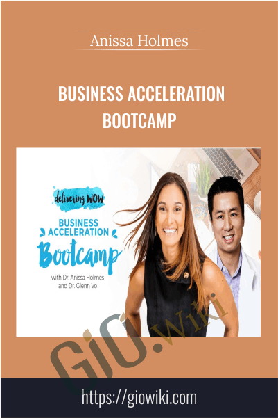 Business Acceleration Bootcamp – Anissa Holmes