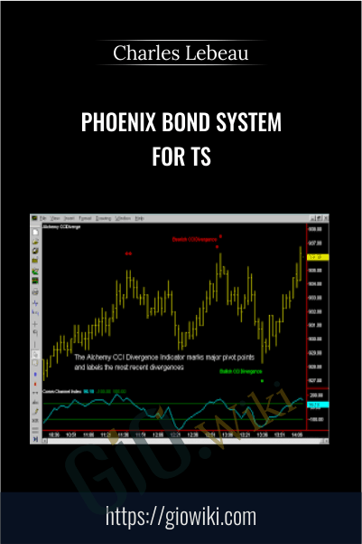 Phoenix Bond System For TS – Charles Lebeau