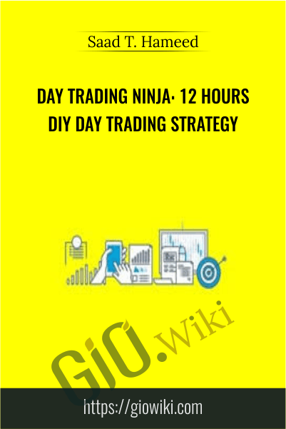 Day Trading Ninja: 12 Hours DIY Day Trading Strategy - Saad T. Hameed