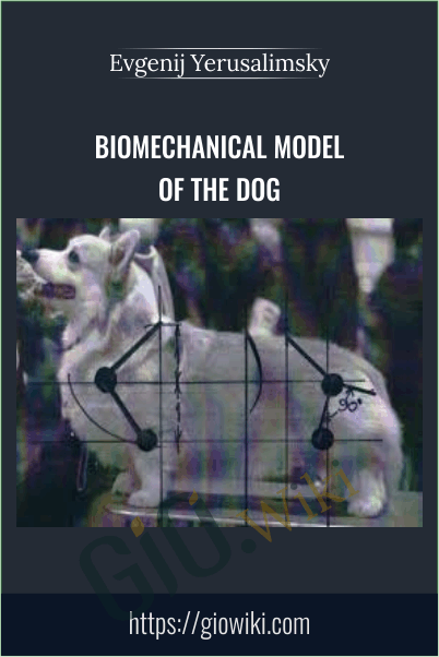 BioMechanical Model of the Dog - Evgenij Yerusalimsky