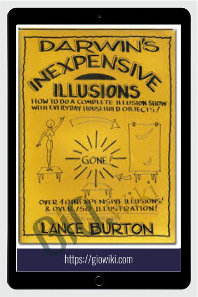 Inexpensive Illusions - Gary Darwin