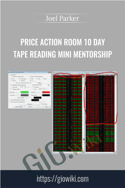 Price Action Room 10 Day Tape Reading Mini Mentorship – Joel Parker