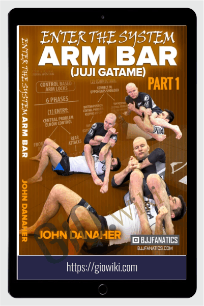 Enter The System Arm Bar - John Danaher