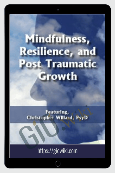 Mindfulness, Resilience, and Post Traumatic Growth - Christopher Willard
