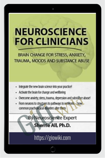 Neuroscience for Clinicians: Brain Change for Stress, Anxiety, Trauma, Moods and Substance Abuse - Sherrie All