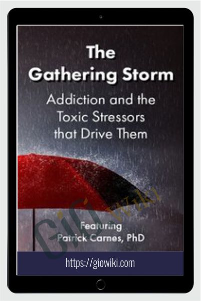 The Gathering Storm: Addiction and the Toxic Stressors that Drive Them - Patrick Carnes