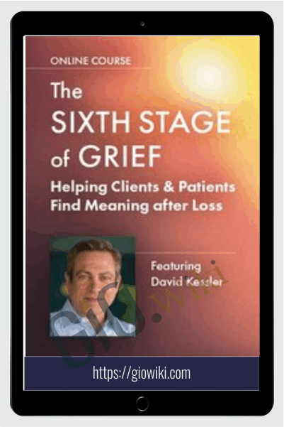 The Sixth Stage of Grief: Helping Clients & Patients Find Meaning after Loss - David Kessler