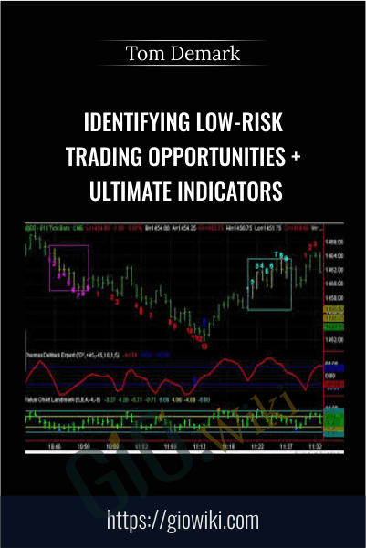 Identifying Low-Risk Trading Opportunities + Ultimate Indicators – Tom Demark