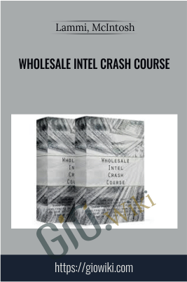 Wholesale Intel Crash Course