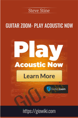 Guitar Zoom- Play Acoustic Now - Steve Stine