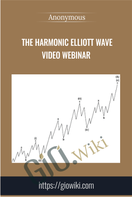 The Harmonic Elliott Wave Video Webinar - Anonymous