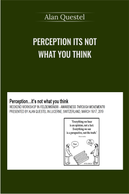 Perception Its not what you think - Alan Questel