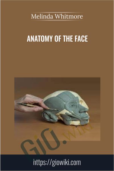 Anatomy of the Face - Melinda Whitmore