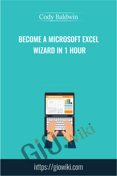 Become a Microsoft Excel Wizard in 1 Hour - Cody Baldwin