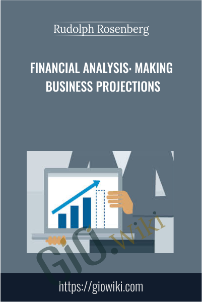 Financial Analysis: Making Business Projections - Rudolph Rosenberg