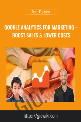 Google Analytics for Marketing - Boost Sales & Lower Costs - Joe Parys