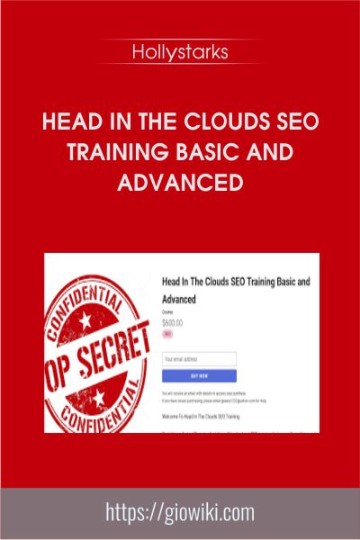 Head In The Clouds SEO Training Basic and Advanced - Hollystarks