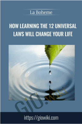 How Learning The 12 Universal Laws Will Change Your Life -  La Boheme