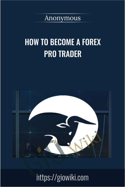 How To Become A Forex Pro Trader