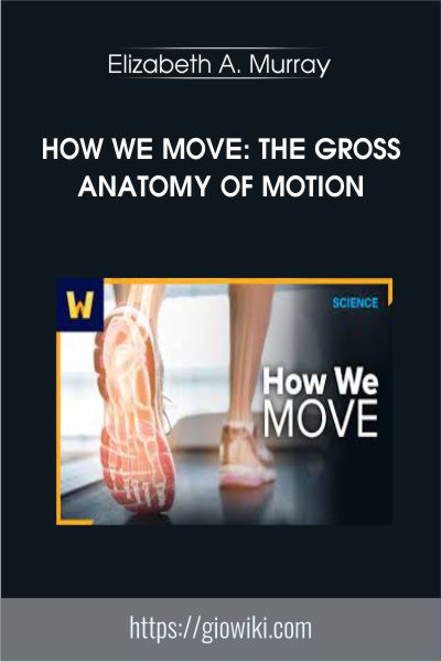 How We Move: The Gross Anatomy of Motion - Elizabeth A. Murray