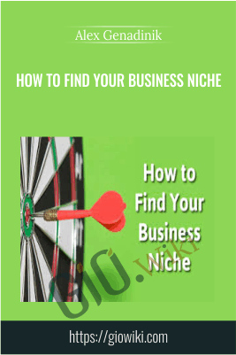 How to find your business niche - Alex Genadinik