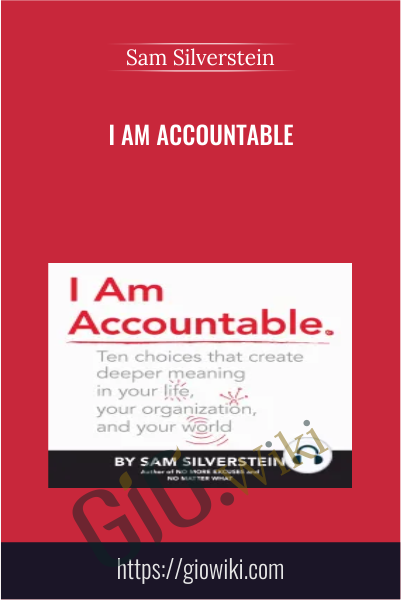 I Am Accountable - Sam Silverstein