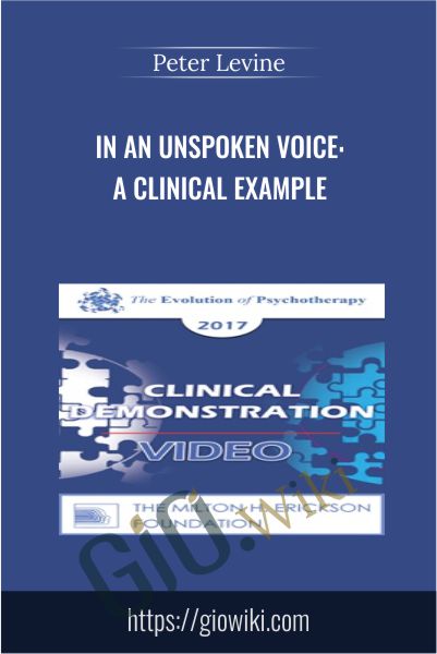 In an Unspoken Voice: A Clinical Example - Peter Levine