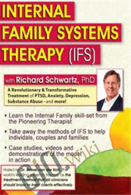 Internal Family Systems Therapy (IFS): A Revolutionary & Transformative Treatment of PTSD, Anxiety, Depression, Substance Abuse - and More! - Richard C. Schwartz