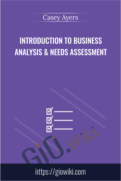 Introduction to Business Analysis & Needs Assessment - Casey Ayers