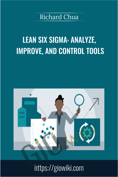 Lean Six Sigma: Analyze, Improve, and Control Tools - Richard Chua