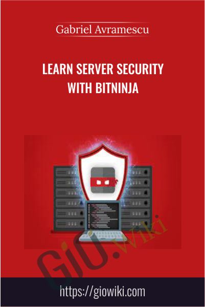 Learn Server Security With BitNinja - Gabriel Avramescu