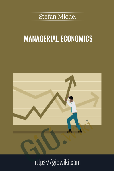 Managerial Economics - Stefan Michel